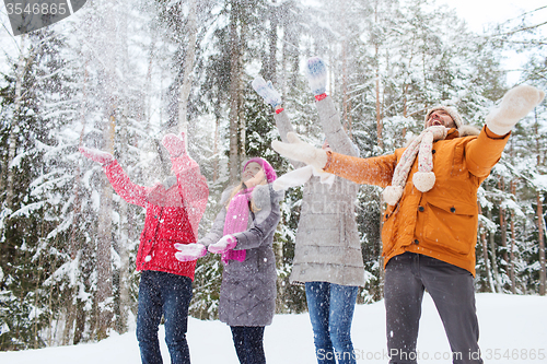 Image of group of smiling men and women in winter forest