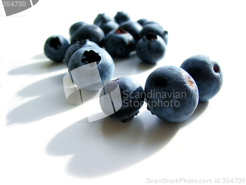 Image of Blueberries macro on white