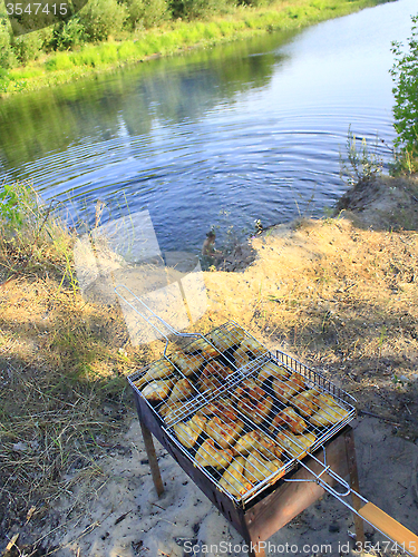 Image of barbecue from hen's meat cooking in the nature