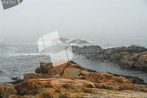 Image of Rocky coast in Maine