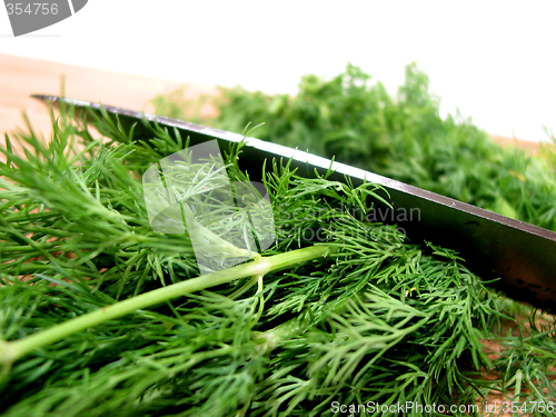 Image of Dill herb cut