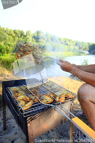 Image of barbecue from hen's meat cooking in the nature