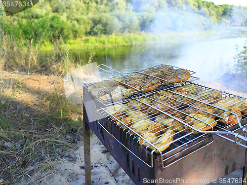 Image of barbecue from hen's meat cooking in the nature