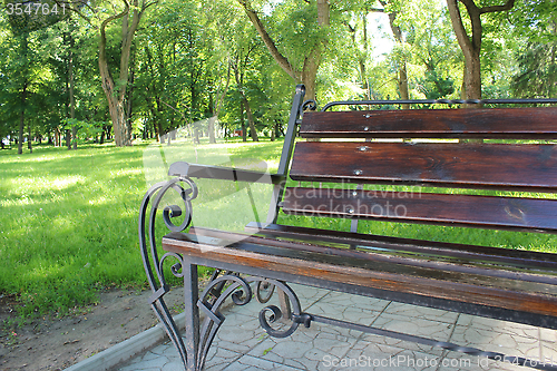 Image of bench in the beautiful park with many green trees