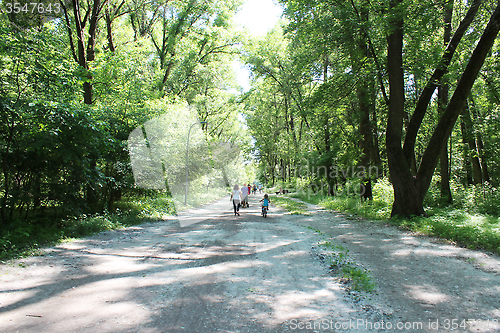 Image of People have a rest in park with big trees