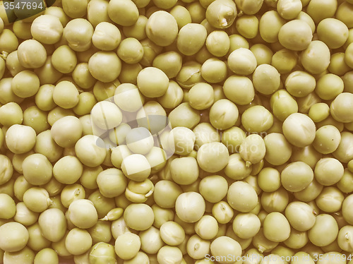 Image of Retro looking Green peas vegetable background