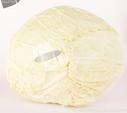 Image of Retro looking Cabbage