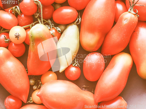 Image of Retro looking Tomato vegetable