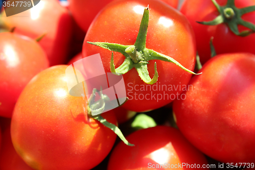 Image of red ripe tomatoes 