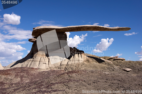 Image of King of Wings, New Mexico, USA