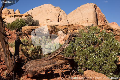 Image of Capitol Reef NP, Utah, USA