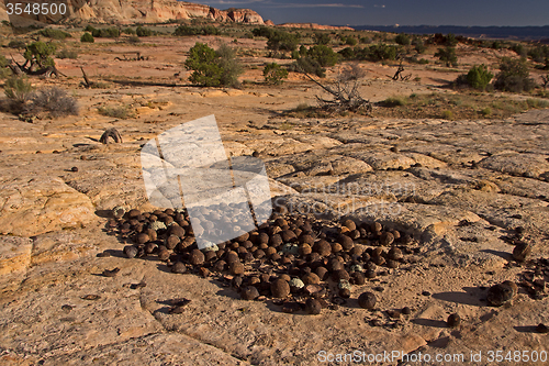 Image of Moki Hill, Utah, USA