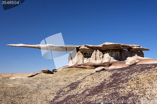 Image of King of Wings, New Mexico, USA