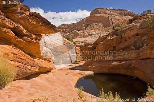 Image of Capitol Reef NP, Utah, USA