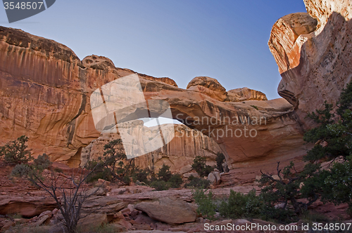 Image of Capitol Reef NP, Utah, USA