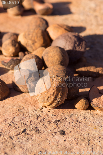 Image of Moki Hill, Utah, USA