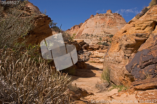 Image of Capitol Reef NP, Utah, USA