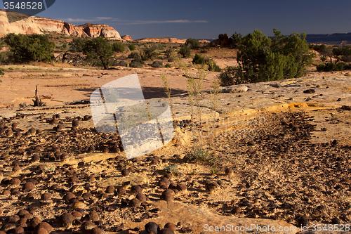 Image of Moki Hill, Utah, USA