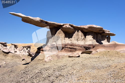 Image of King of Wings, New Mexico, USA