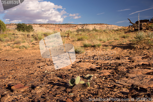 Image of Moki Hill, Utah, USA