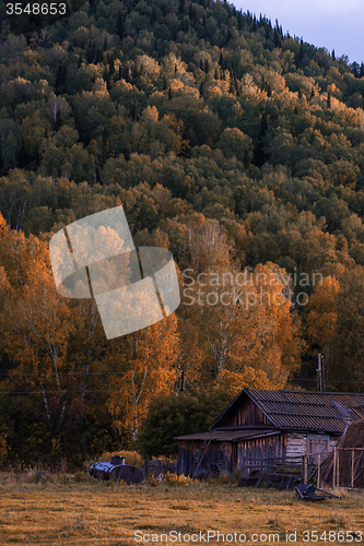 Image of Autumn 