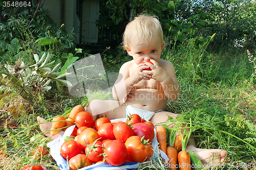 Image of baby eats ripe tomatoes