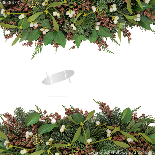 Image of Mistletoe and Winter Flora