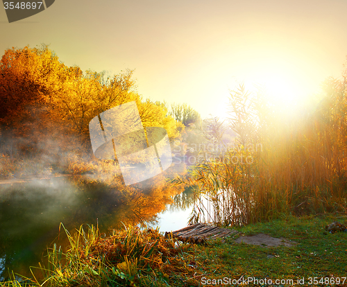 Image of Fog in autumn