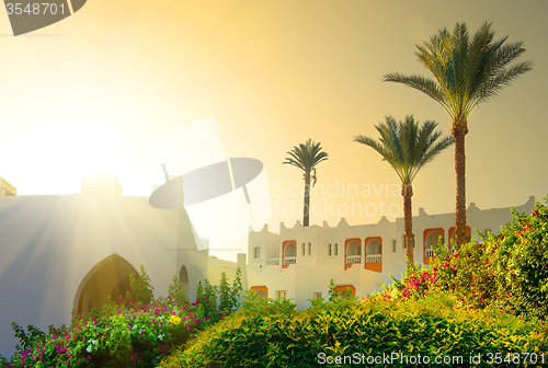 Image of Morning on resort