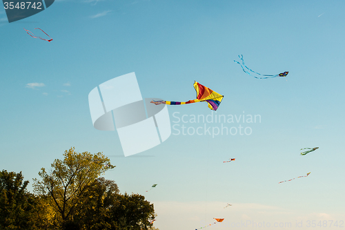 Image of colorful kites