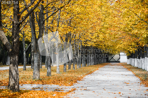 Image of Autumn park alley