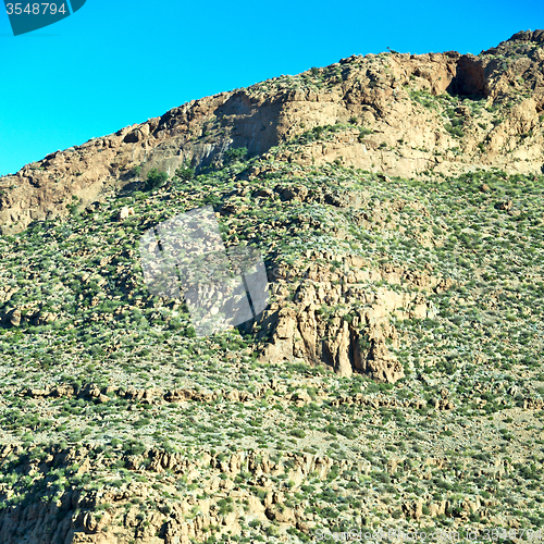 Image of brown bush  in    valley  morocco         africa the atlas dry m