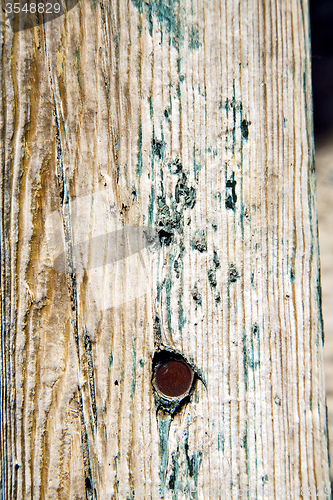 Image of metal nail green  in the brown   red wood door and  