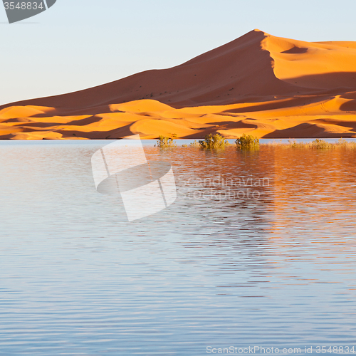 Image of sunshine in the lake yellow  desert of morocco sand and     dune