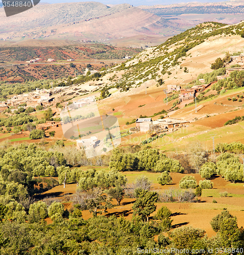 Image of dades valley in atlas moroco africa ground tree  and nobody