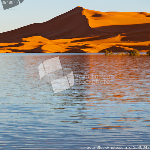 Image of sunshine in the lake yellow  desert of morocco sand and     dune