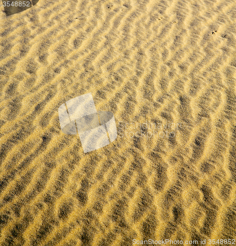 Image of the brown sand dune in the sahara morocco desert 