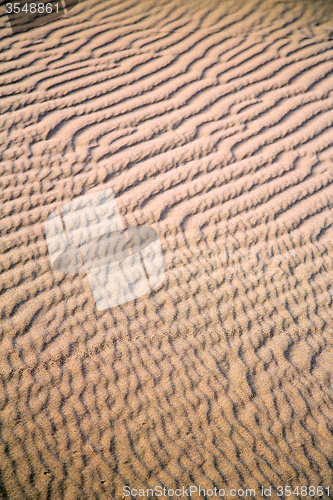 Image of  brown sand dune in   morocco desert 