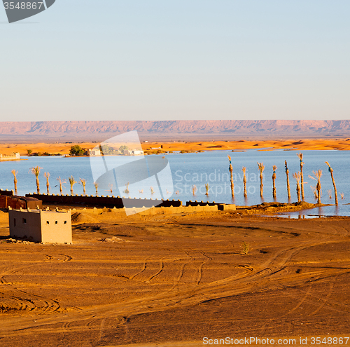 Image of sunshine in the lake yellow  desert of morocco sand and     dune