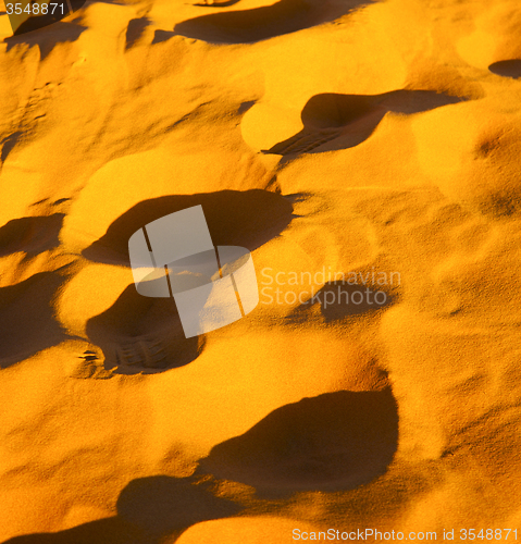 Image of the brown sand dune in the sahara morocco desert 