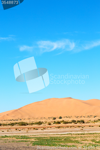 Image of sunshine in the desert of morocco sand and  