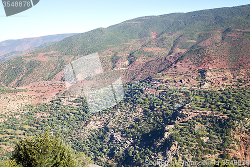 Image of the    dades   in atlas moroco africa   tree  and nobody