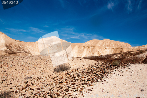 Image of Travel in Negev desert, Israel