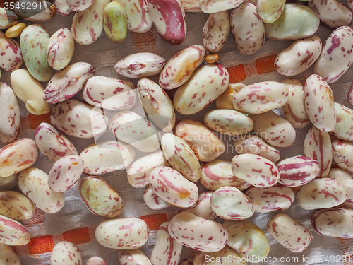 Image of Crimson beans vegetables background