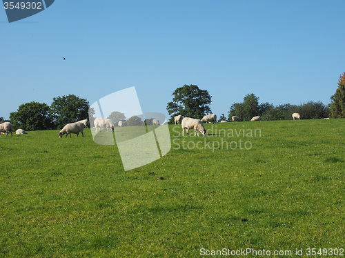 Image of View of Tanworth in Arden