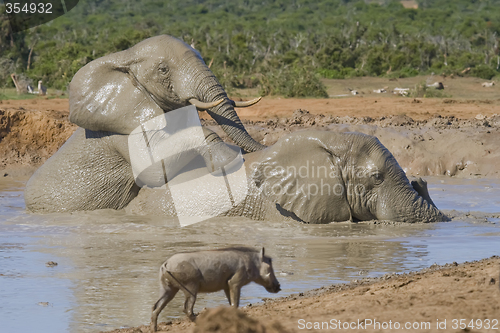 Image of Muddy Fun