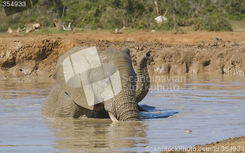 Image of Bath Time