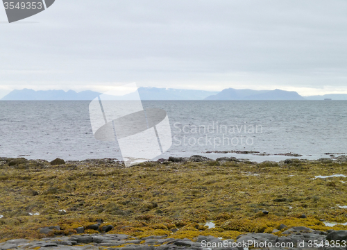 Image of Icelandic coast