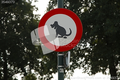 Image of Dogs sign