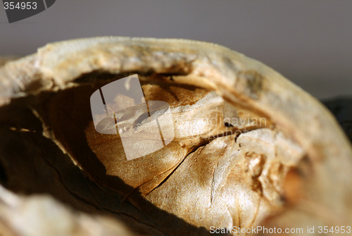 Image of Wal Nut Peels